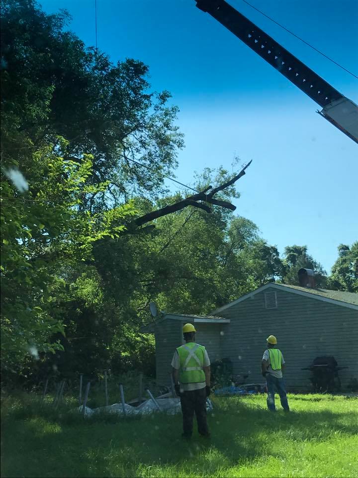  for Loockerman's Tree and Stump Removal in Dover, DE