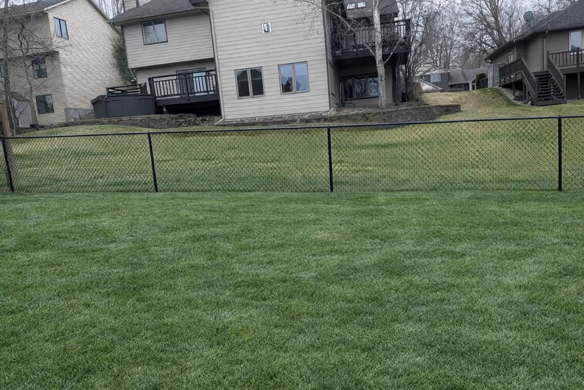 From Overgrown Mess to Lush Green Backyard Lawn