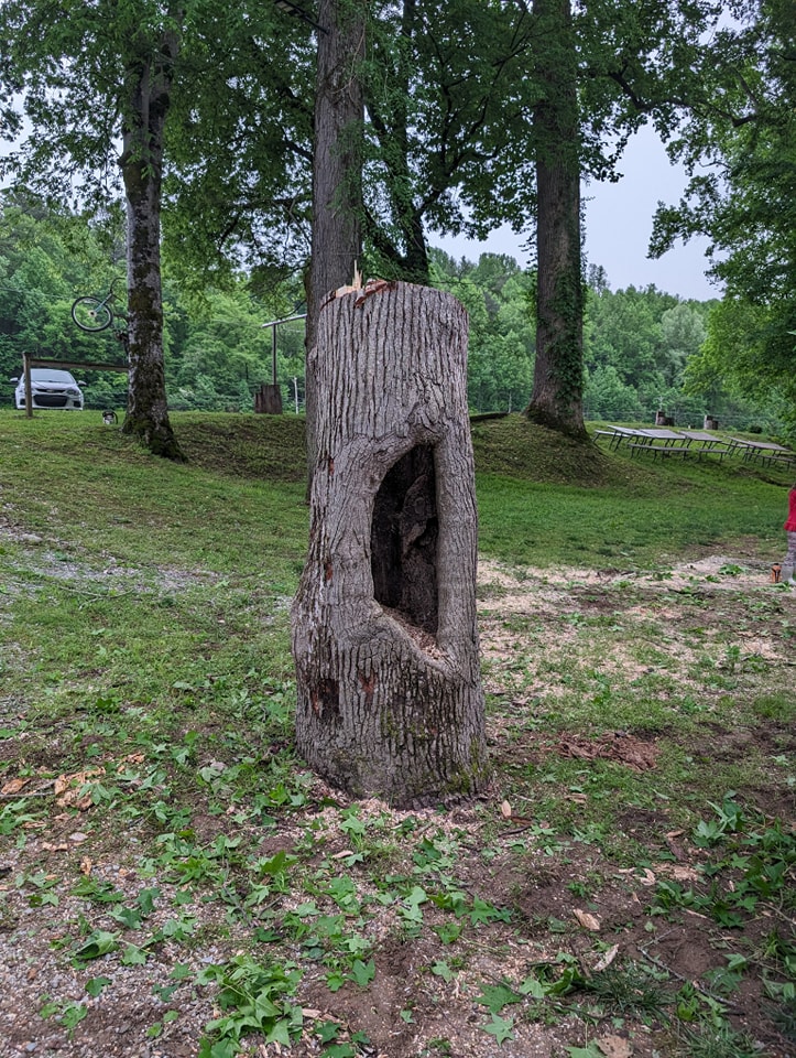  for Wade's Family Tree Service in Townsend, TN