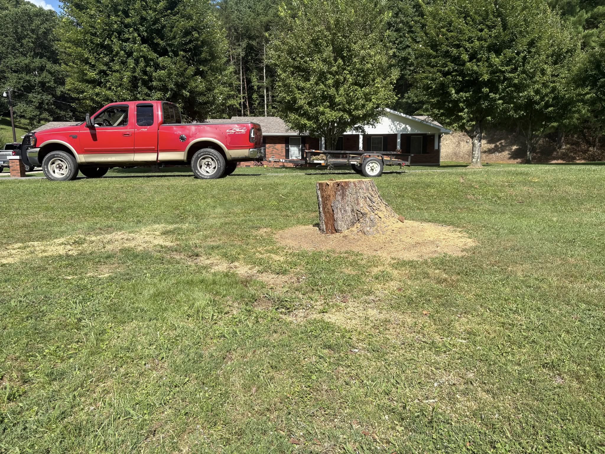  for Skys The Limit Tree Management in Morehead, KY