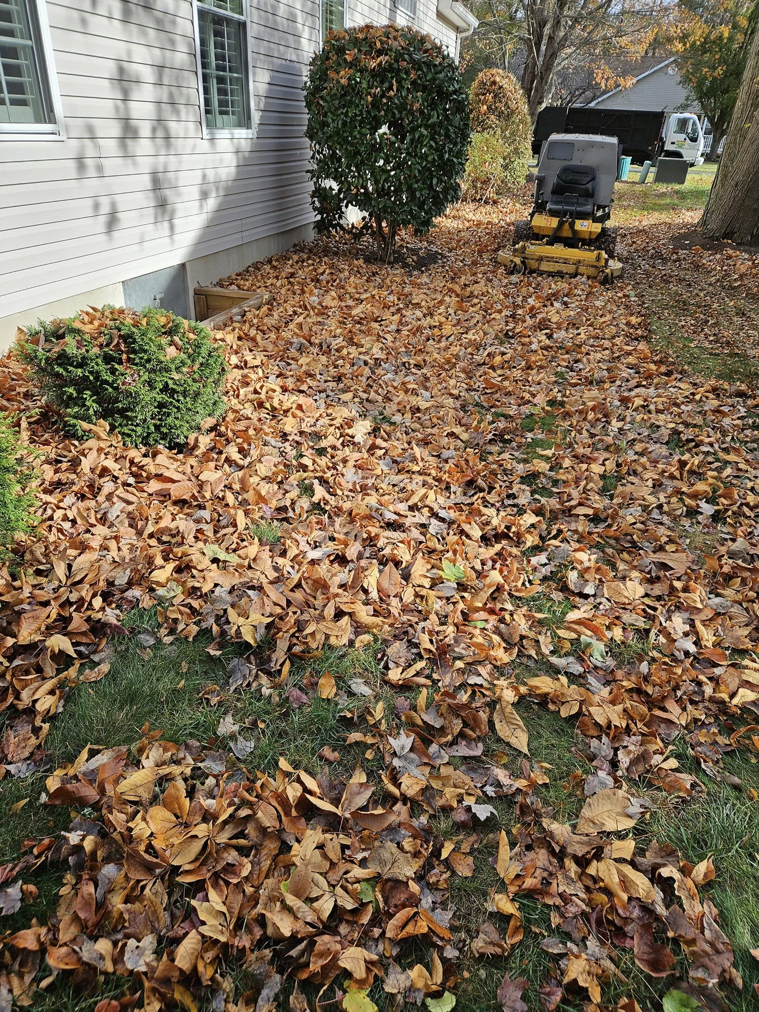 for New Dawn Landscaping LLC in Georgetown, DE