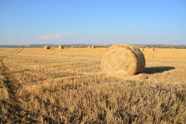  for SSC All Trade Solutions in Windham, NH