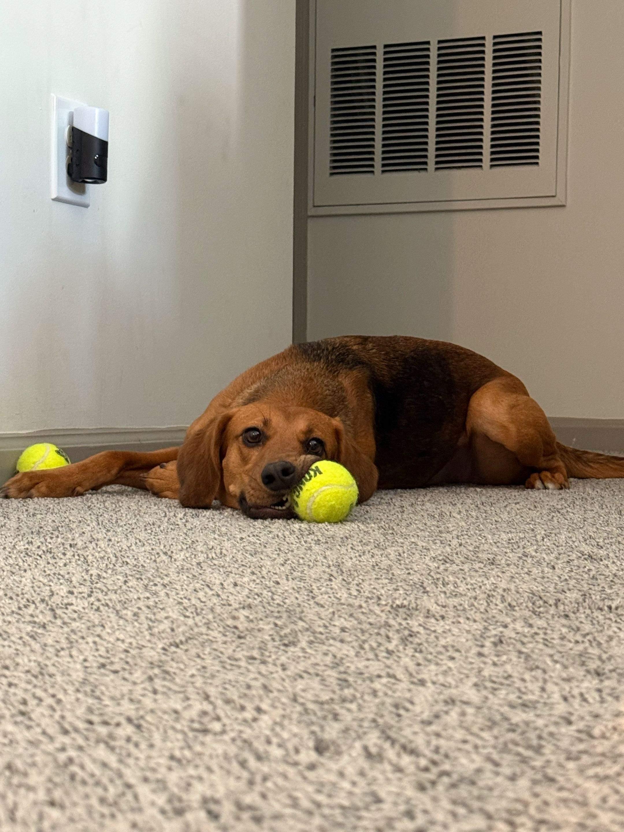  for Strange Soles in Somerville, MA