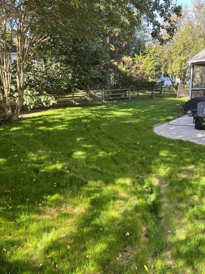  for Atlas Home Services in Mechanicsville, Virginia