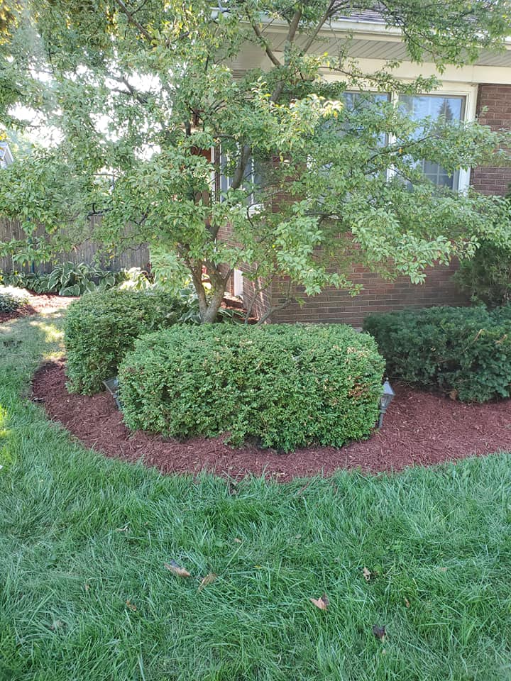  for Henry's Lawn Care in Rockford, IL