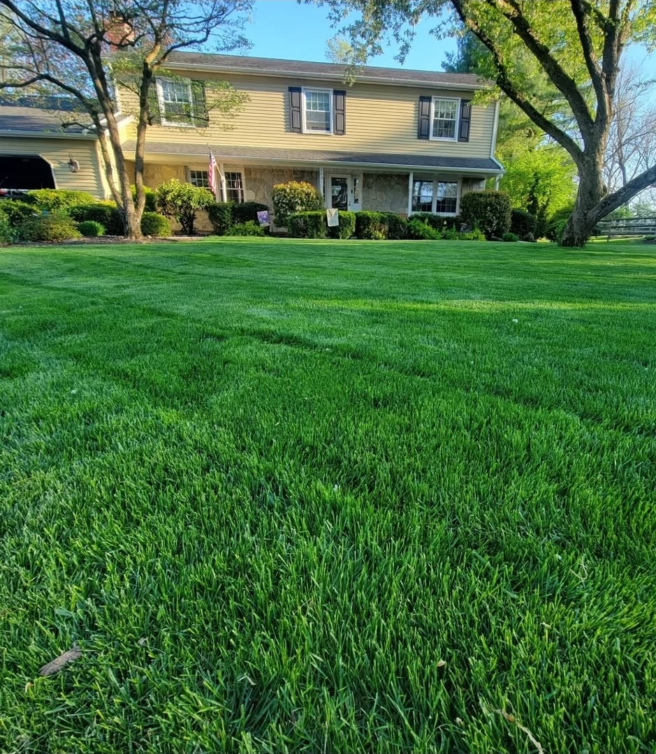  for Trippin A-Lawn in Bethlehem, PA