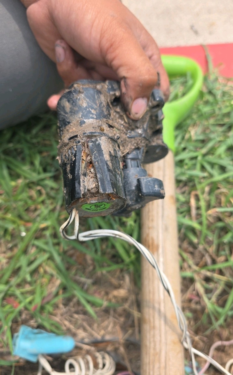  for Pro Lawn Care RGV in McAllen, TX
