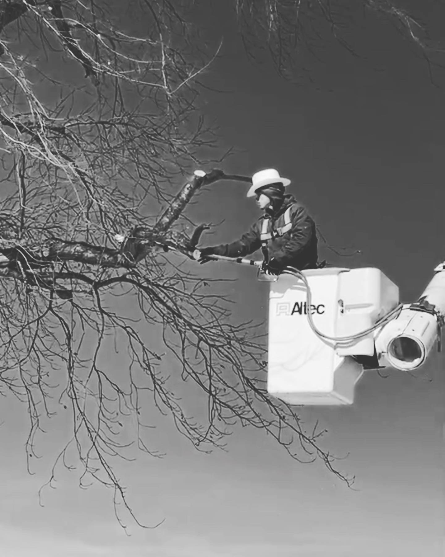  for Hendricks Tree Service in Belleville, IL