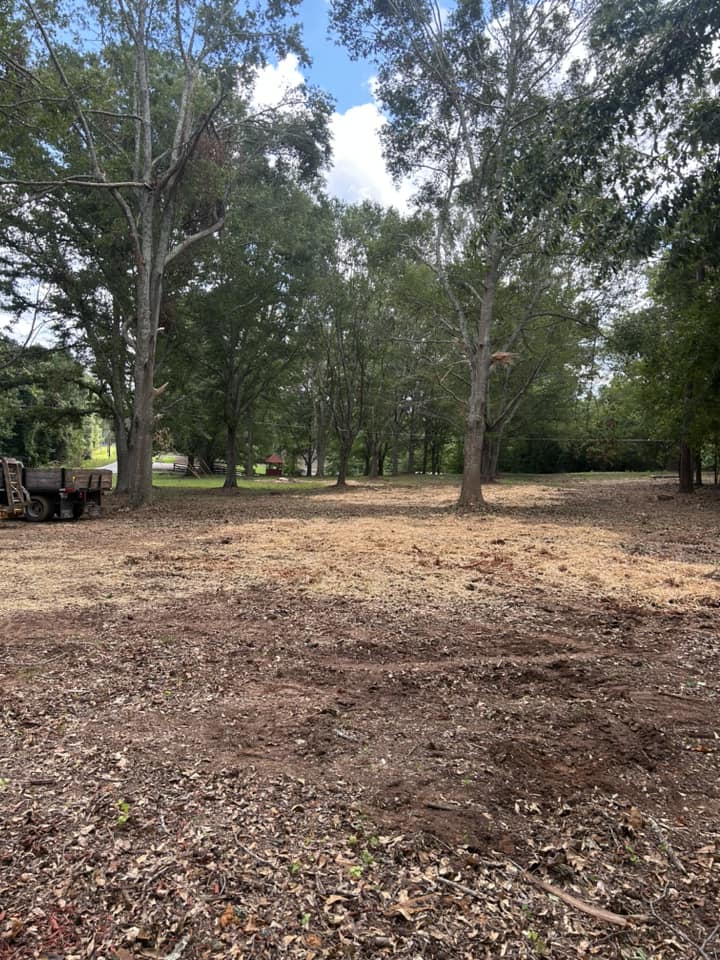  for D&D Land Services in Jasper, GA