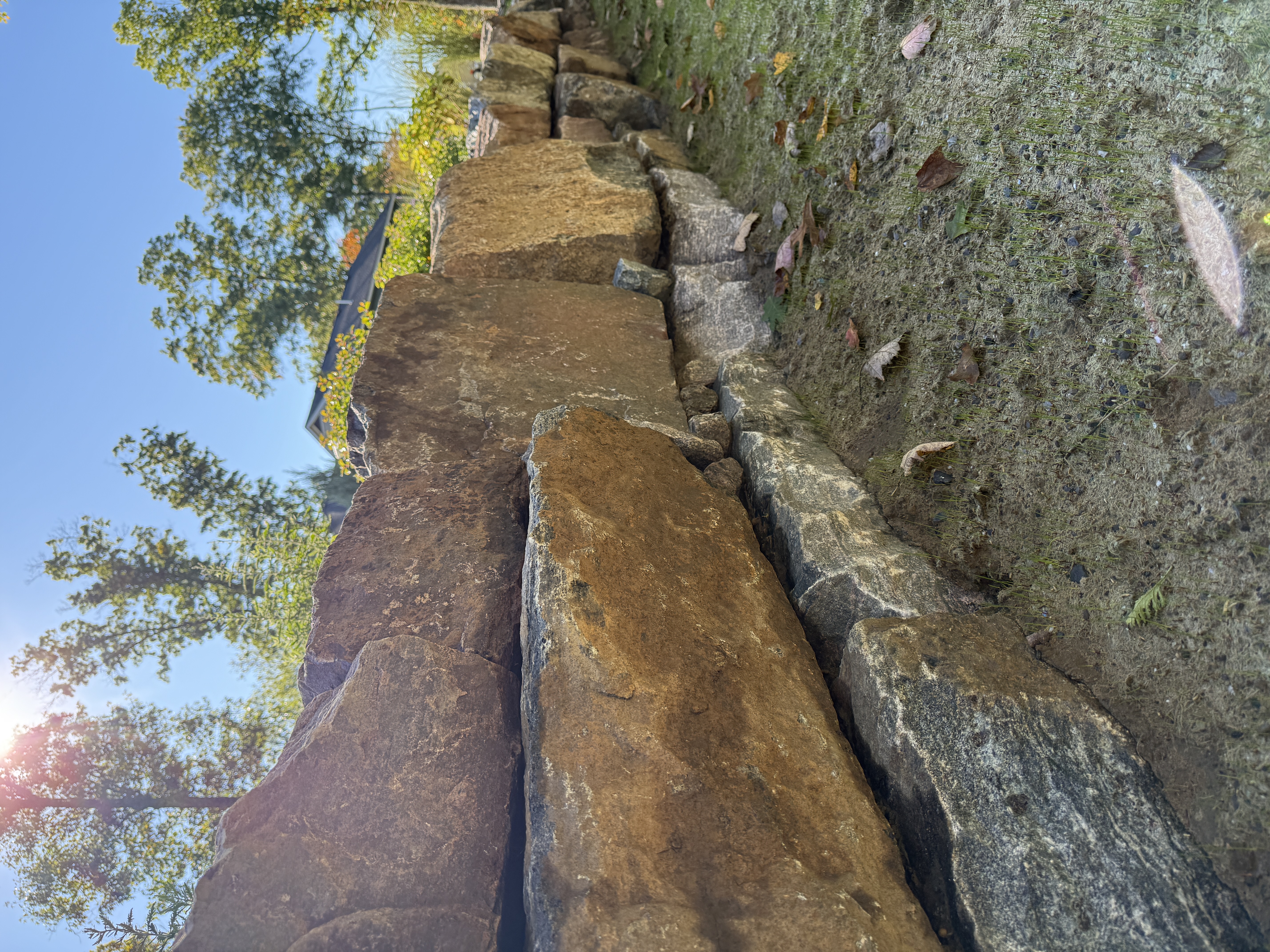  for The Lawn Guy in Saratoga Springs, NY