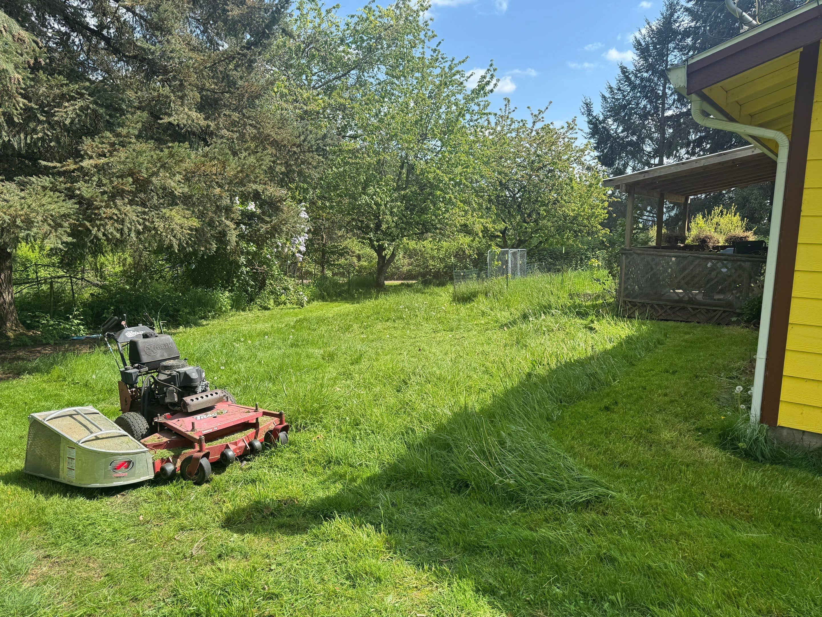  for Willamette Landscaping and Tree Services in Albany, OR