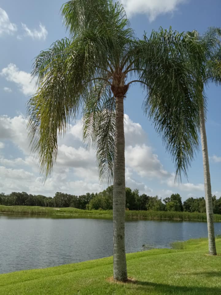 for The Family Tree Care Services LLC in Florida City, FL