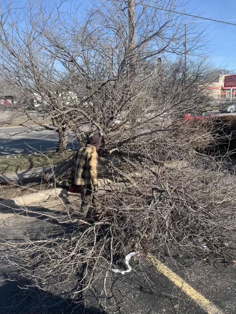  for C & C Lawn and Landscape in Bel Aire, KS