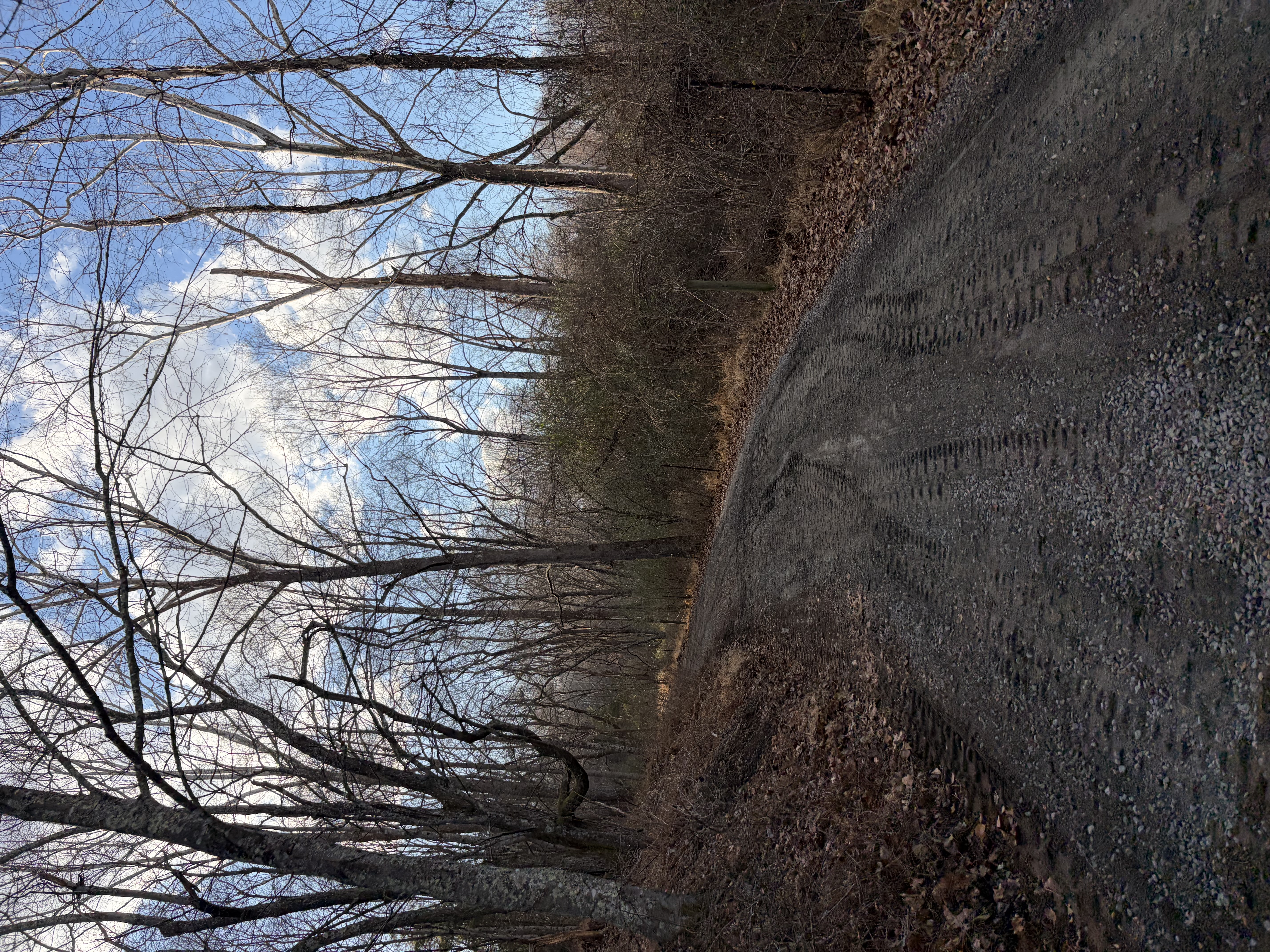  for 9999 Building and Renovation LLC in Warrenton, VA