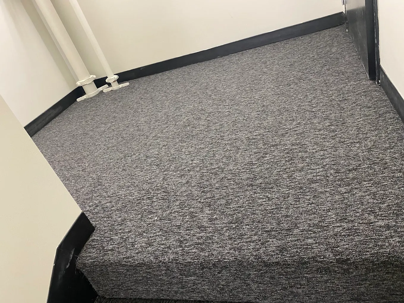 NV Carpets team in Fontana, CA - people or person