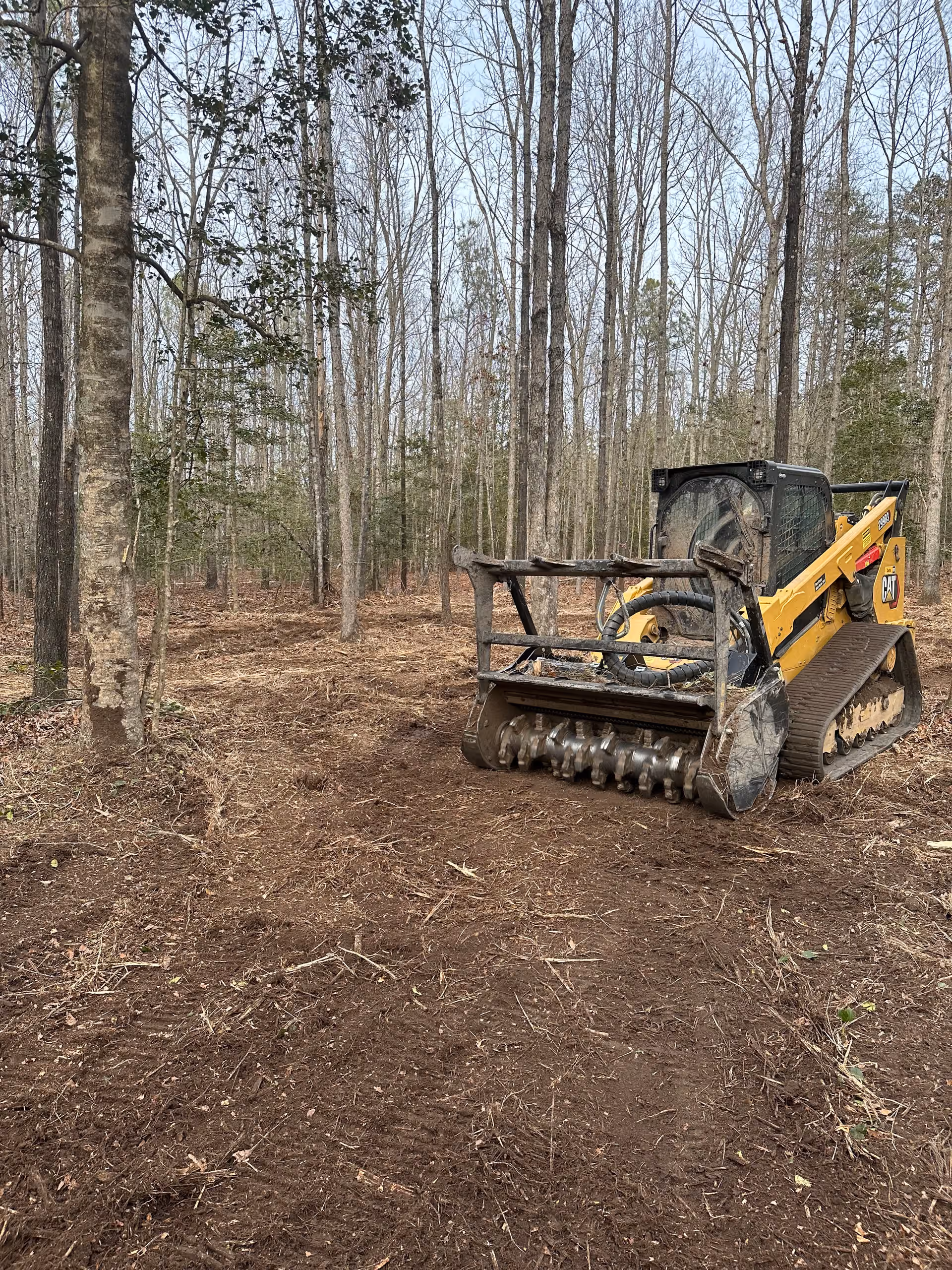 Transforming Terrain: Expert Land Clearing in Ashland, VA by Capece Land Solutions