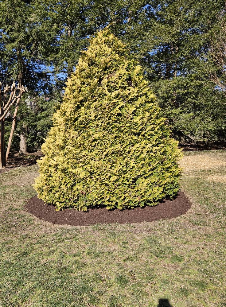  for All Seasons Property Maintenance in Louisville, KY