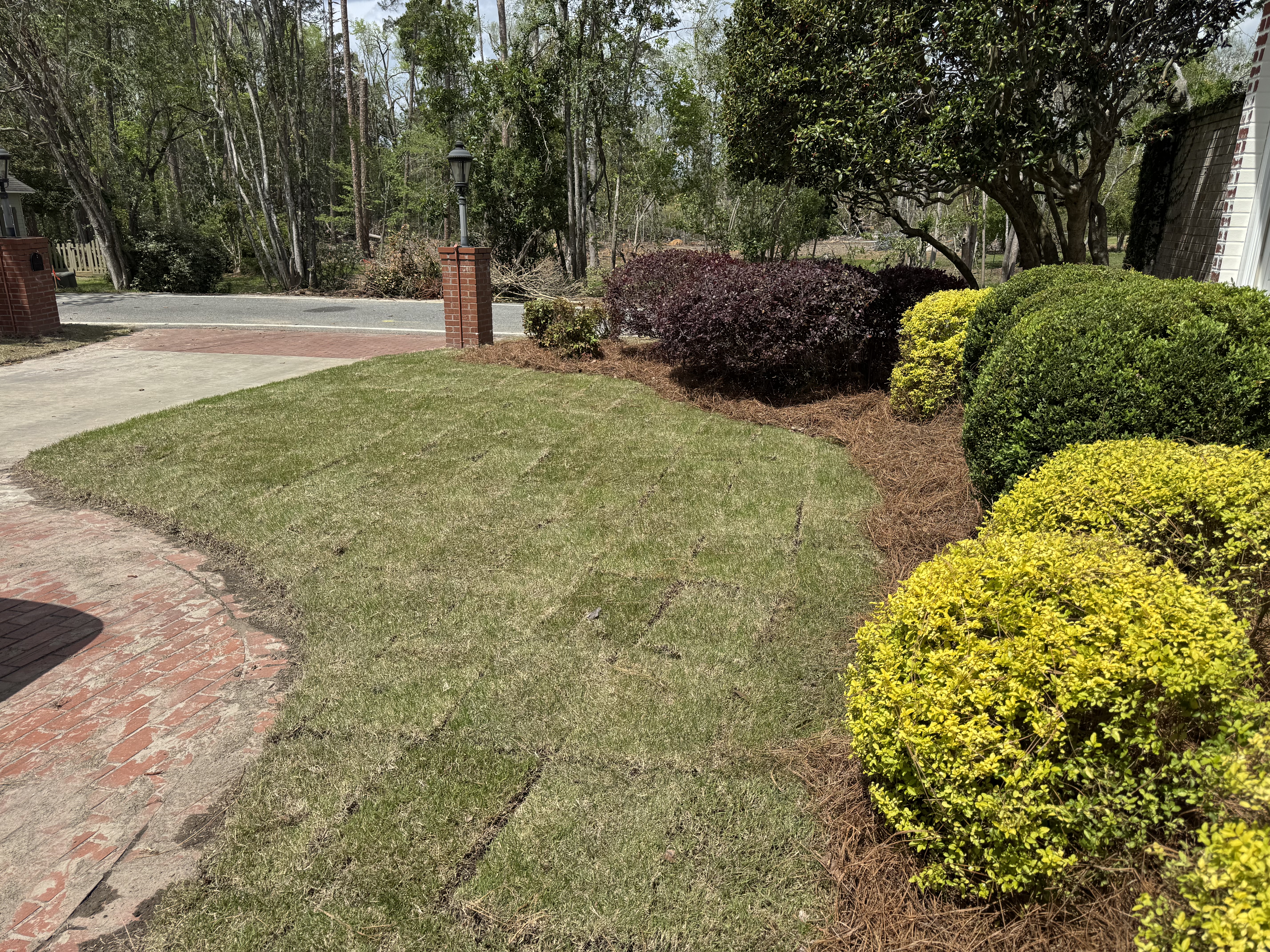  for South GA Land Development in Hazlehurst, GA