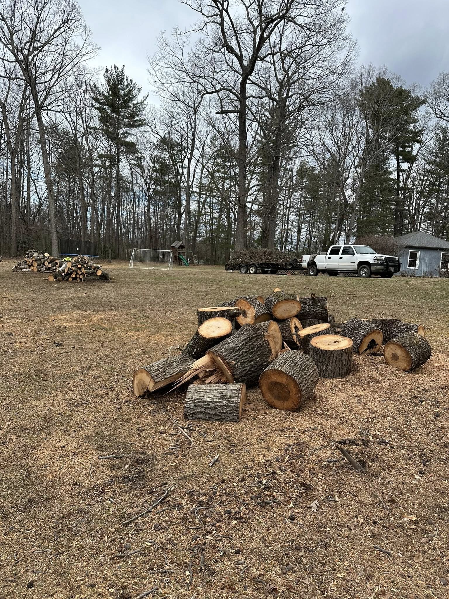  for Ramirez Tree Care in Elkin, NC