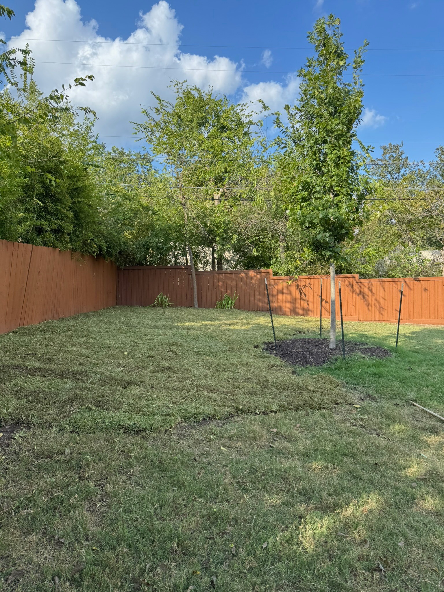 Exellent lawn services team in San Antonio, TX - people or person
