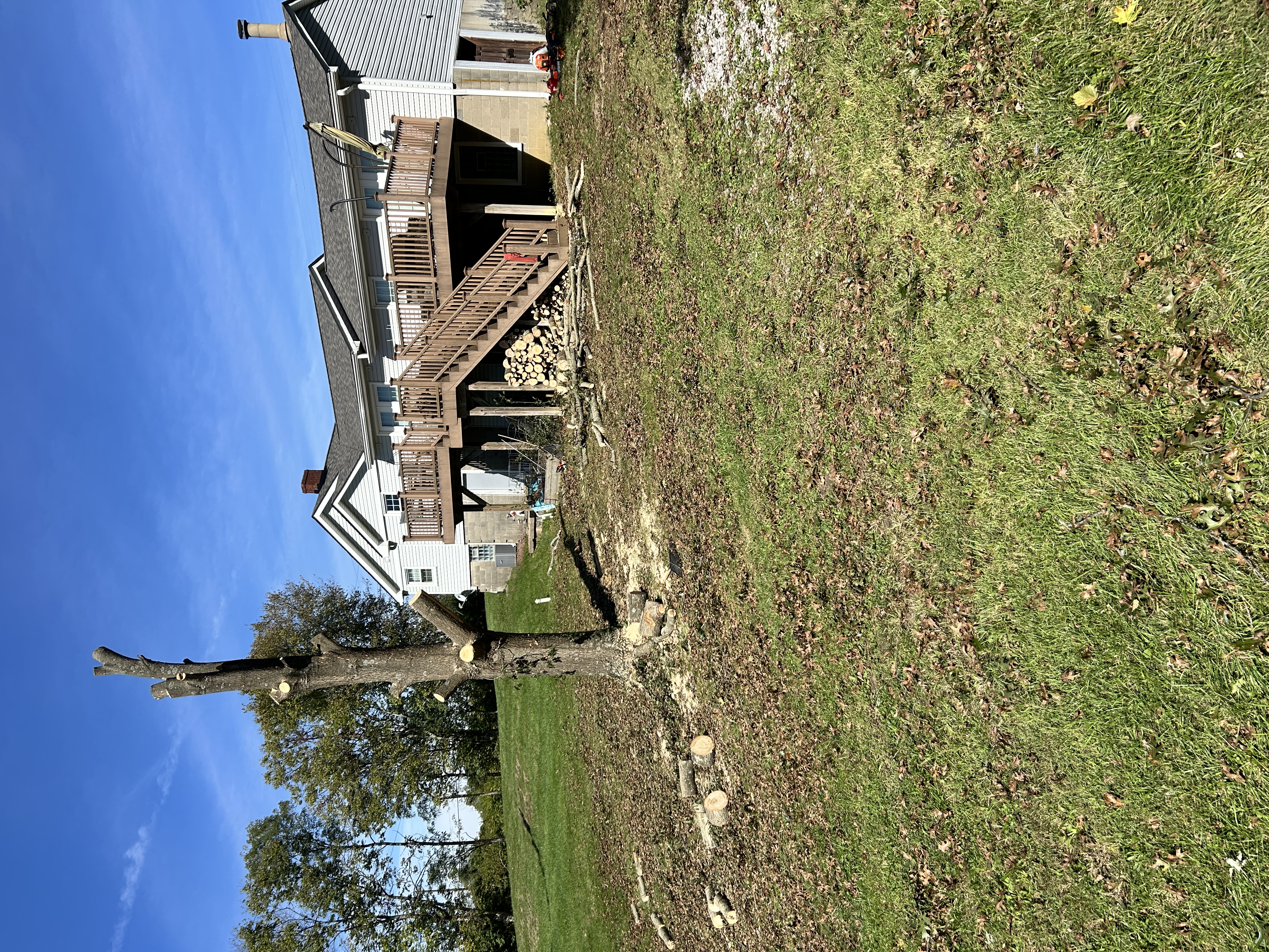  for Terra Steel Creations in Independence, KY