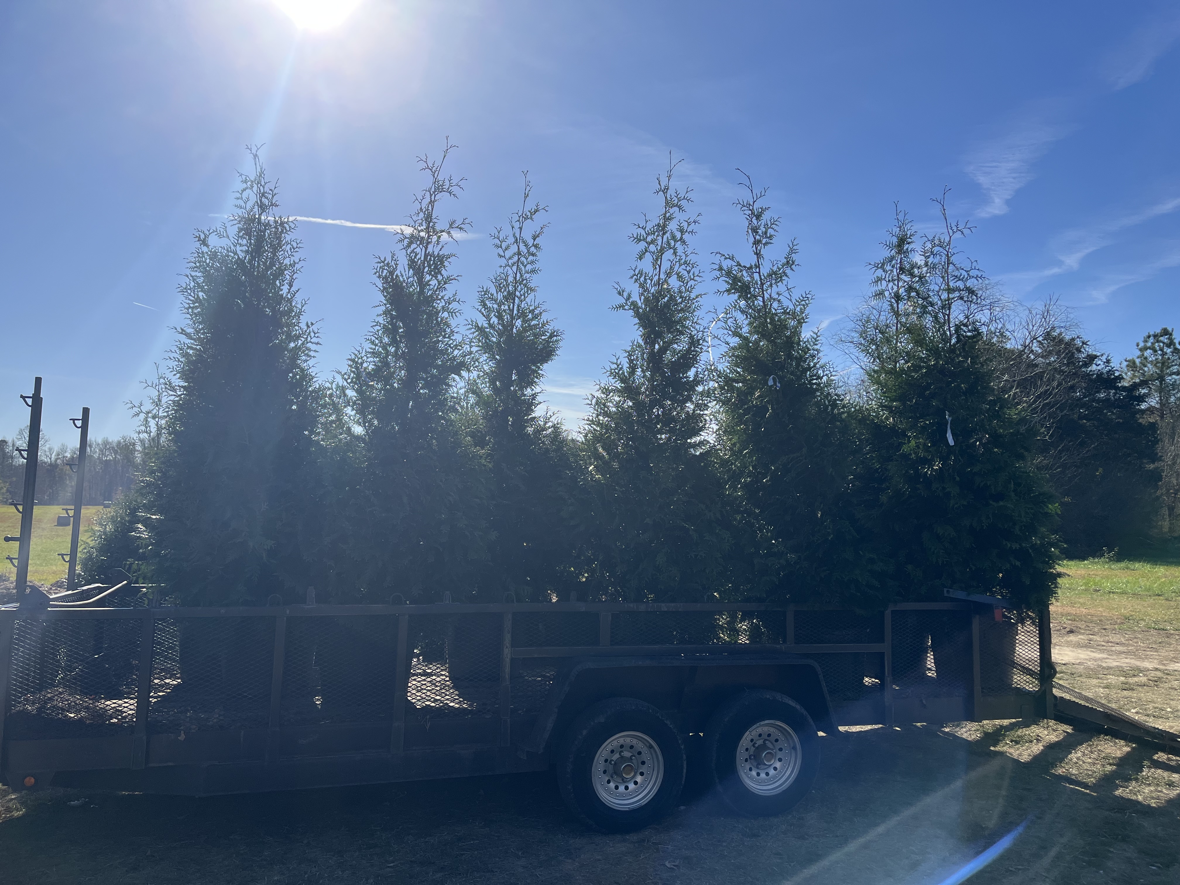  for Atlas Home Services in Mechanicsville, VA