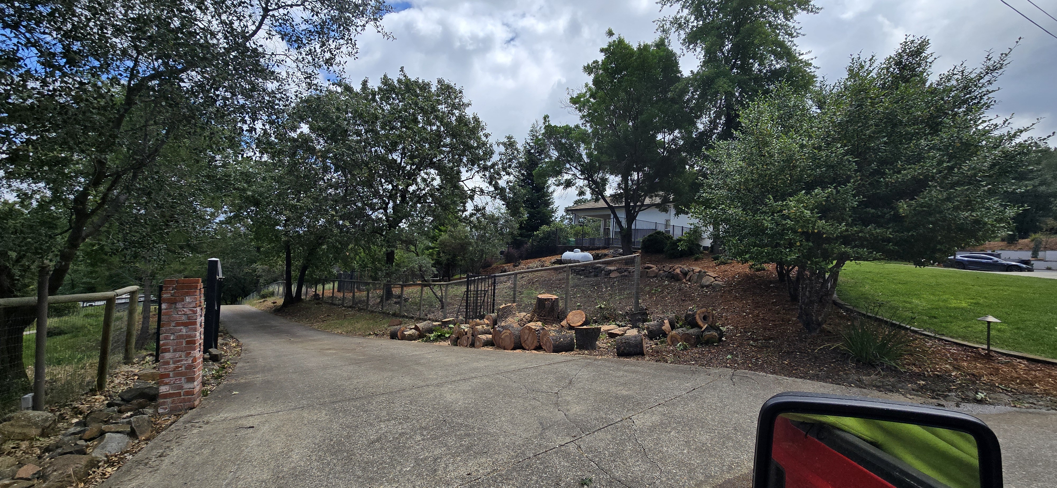  for George Staddan's Professional Tree Care in Placerville, CA