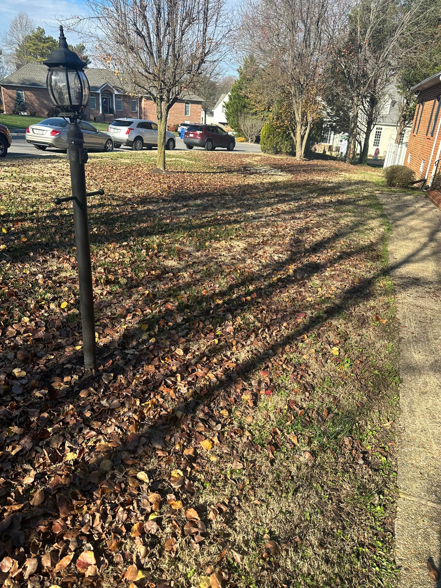  for Lawn Popper's, LLC in Richmond, VA