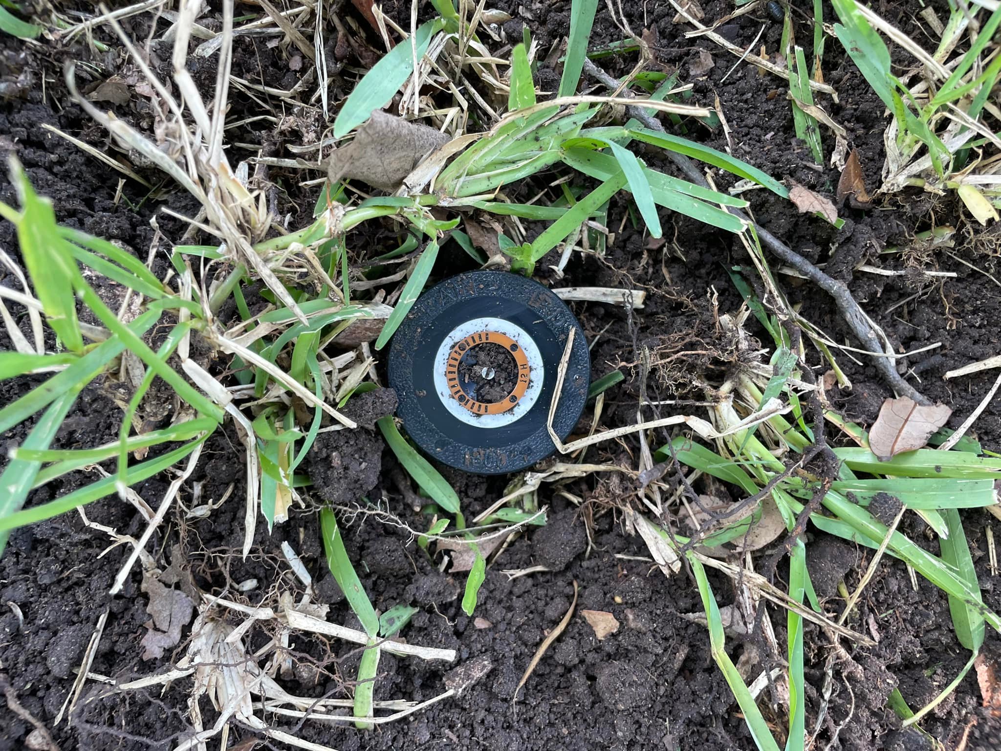  for Light Blue Irrigation in Austin, TX