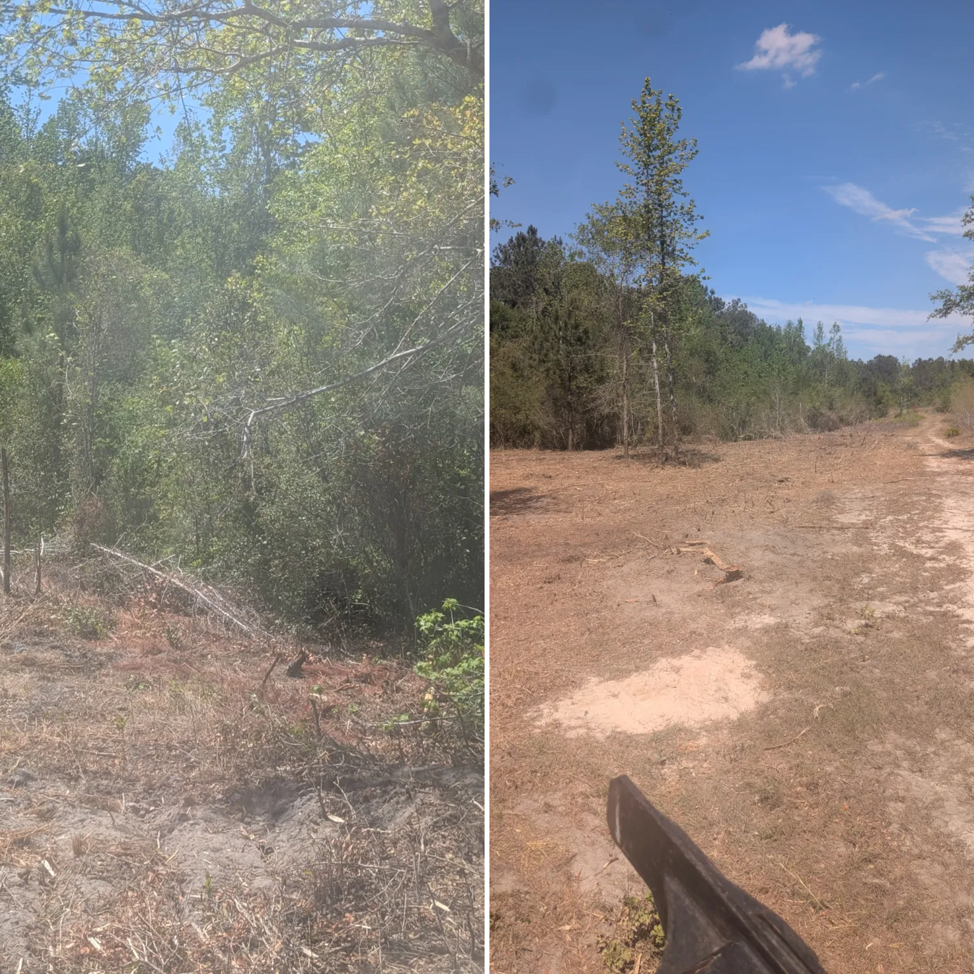  for TDWS Land Management in Blackshear, GA