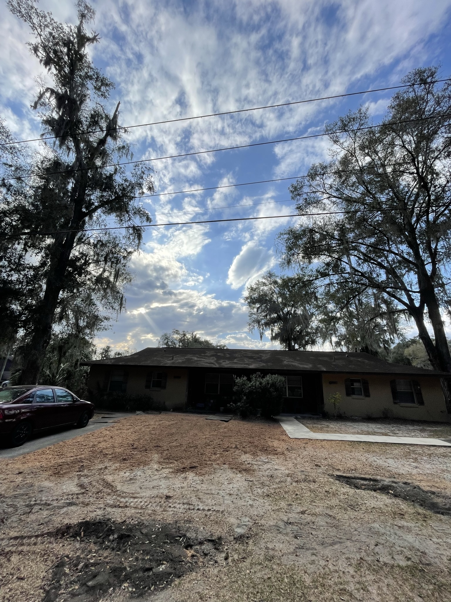  for Mr. Timber in Ocala, FL