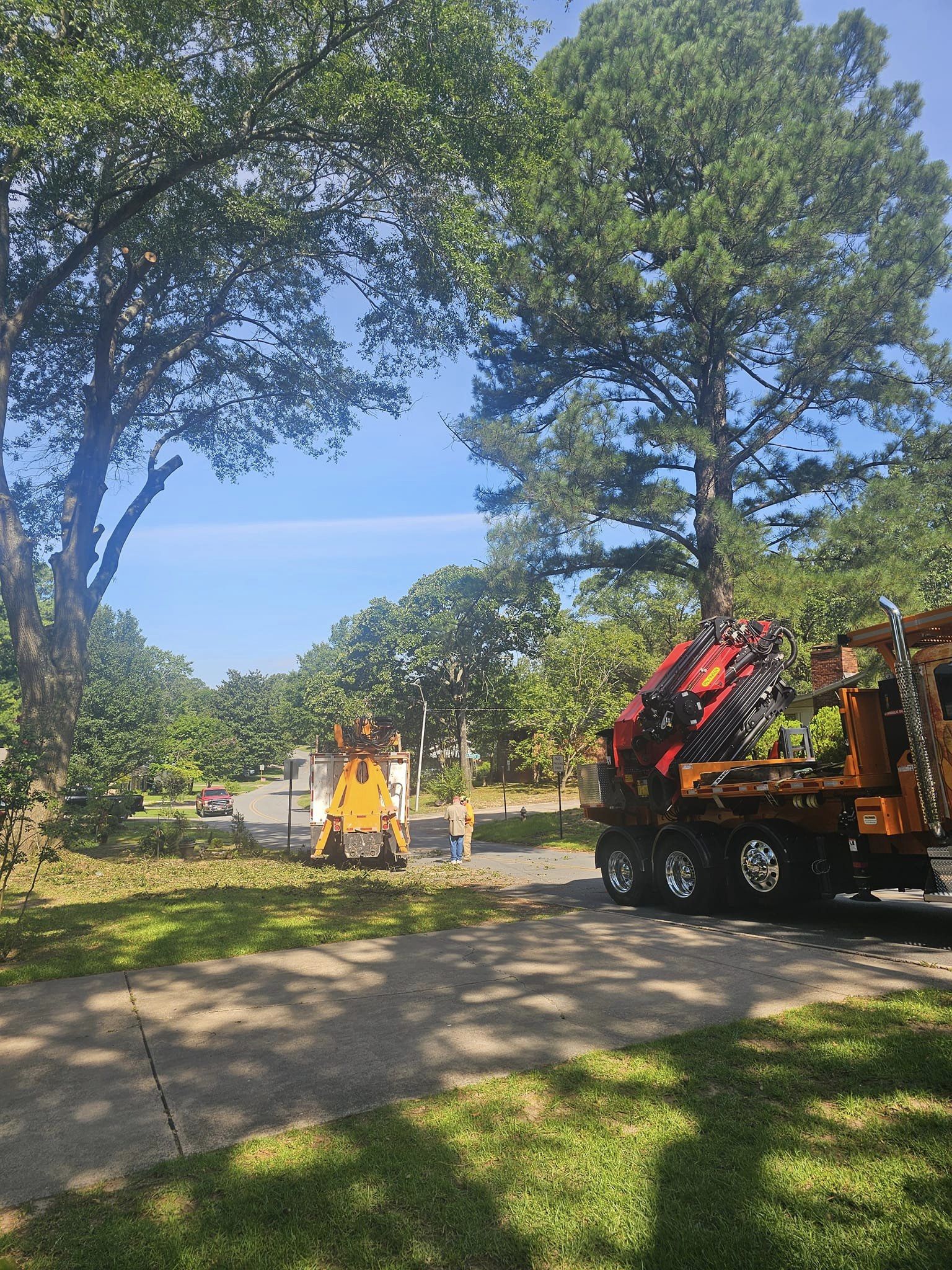Millers Tree Service team in Saline County, AR - people or person