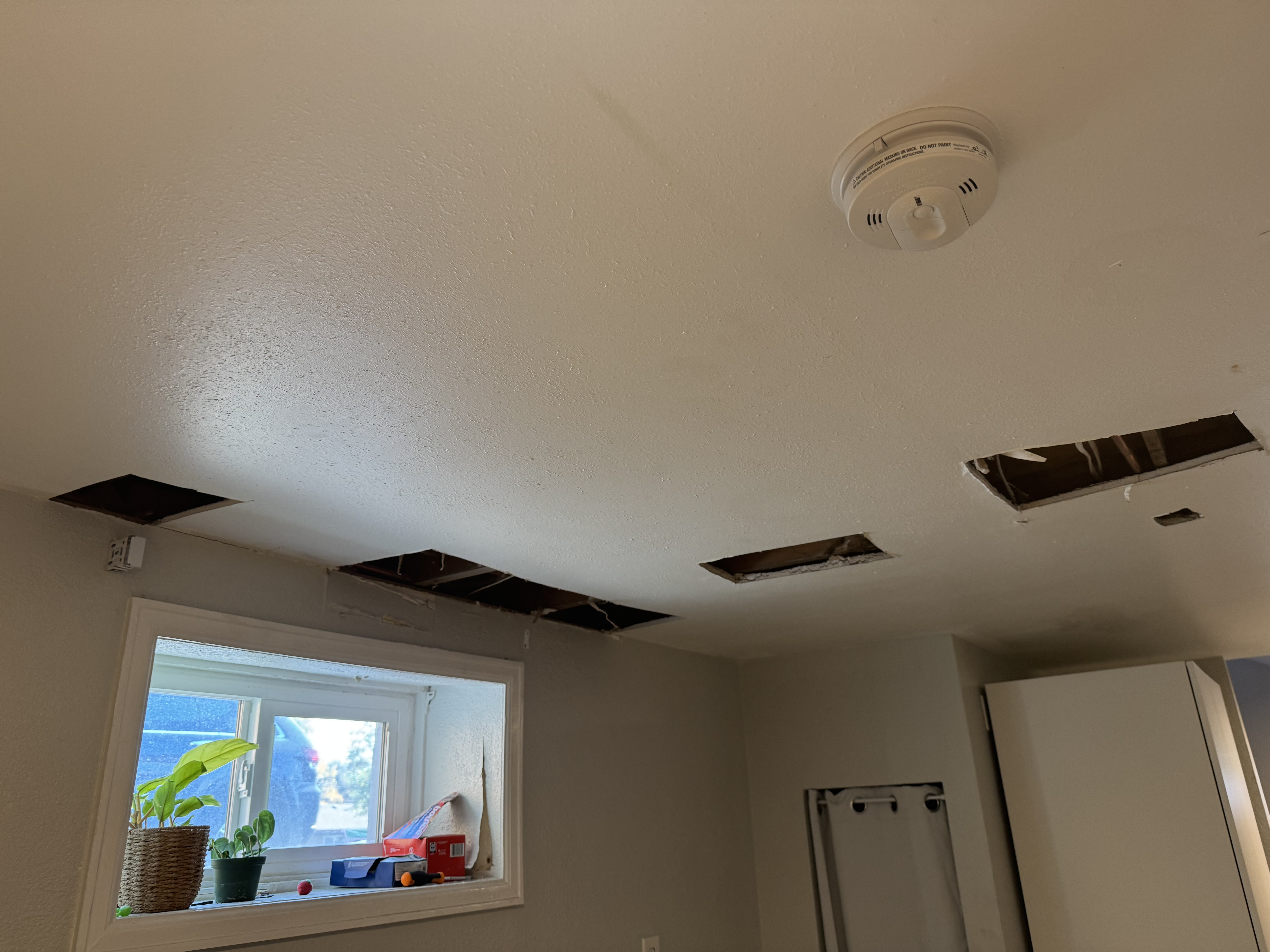  for Patch Pros LLC in Denver, CO