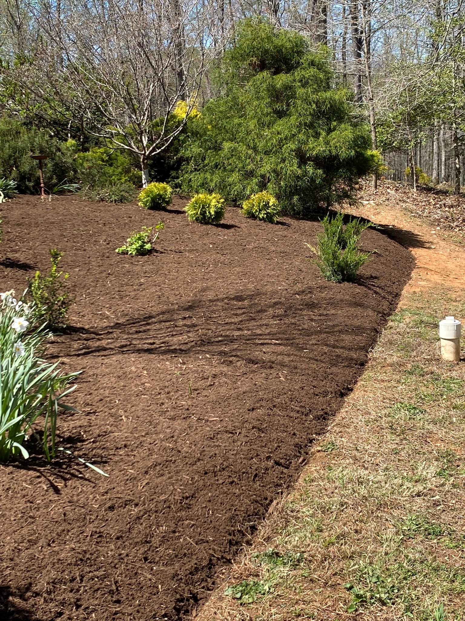  for Valencia’s Lawncare in Charlottesville, VA