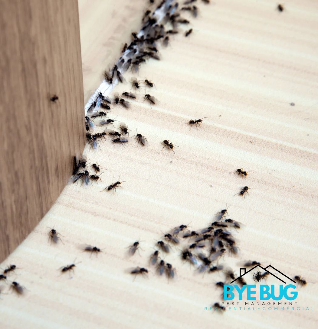  for Bye Bug Pest Management in Crawford, TX