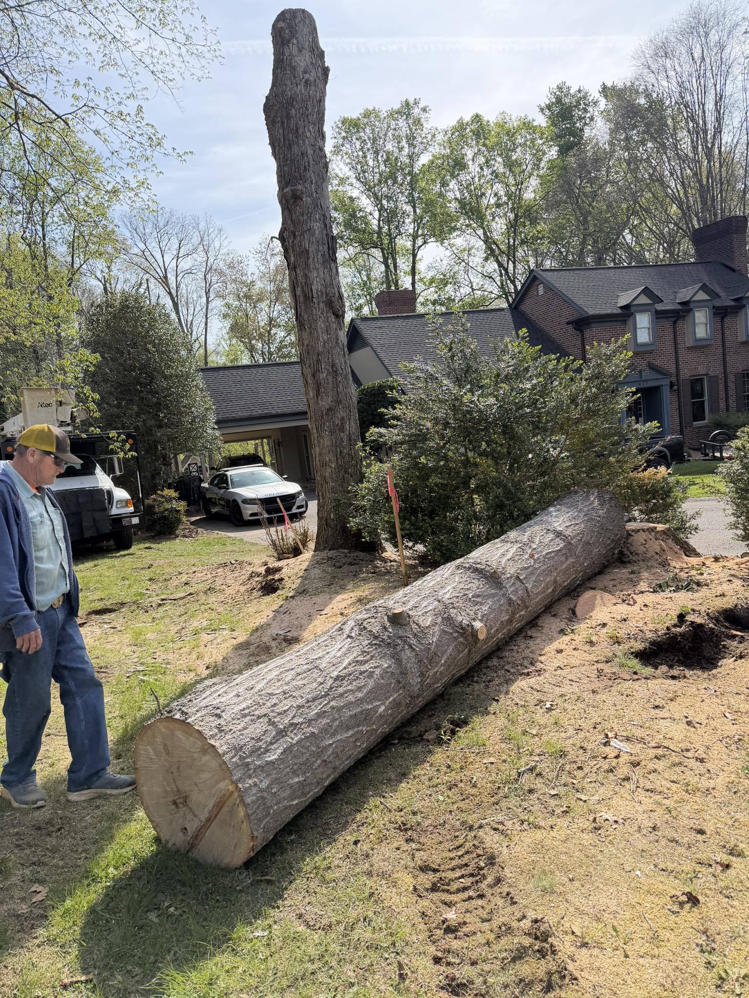  for ABC Tree Service in Dobson, NC