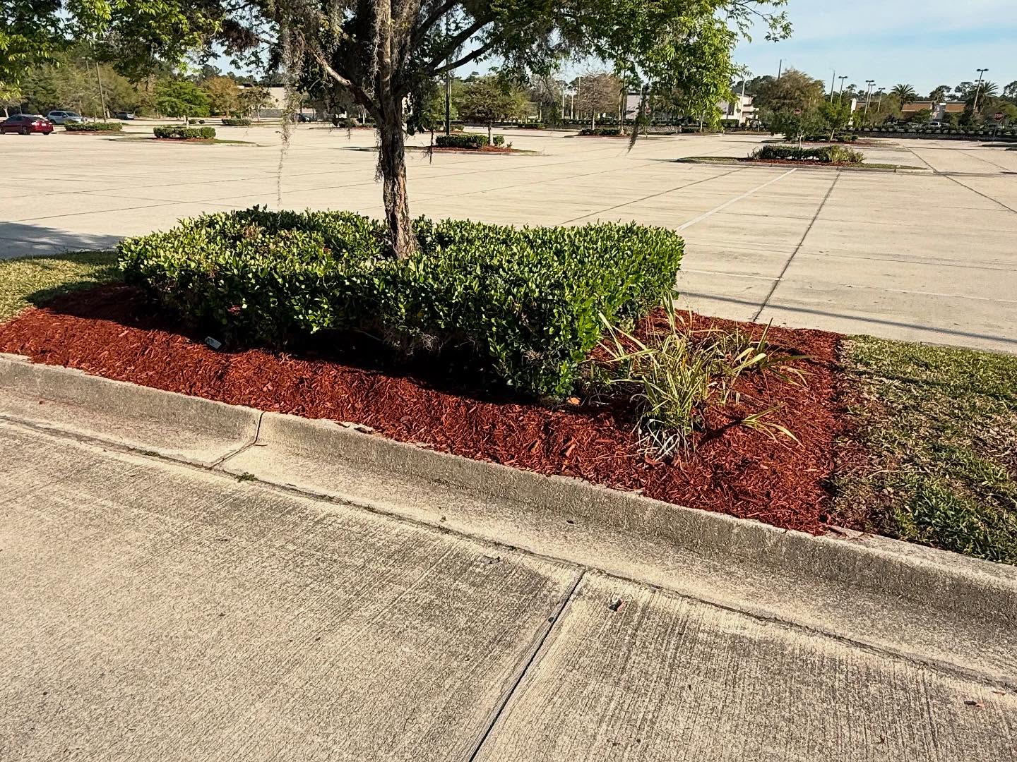  for Whole 9 Yards Services in Green Cove Springs, FL