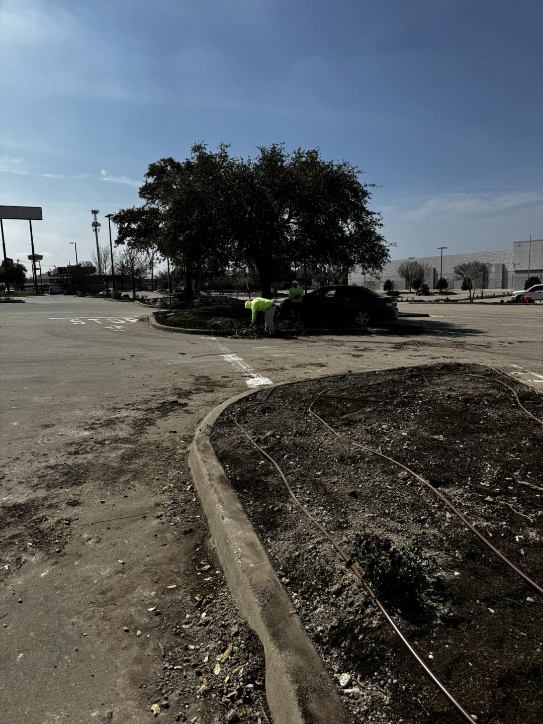  for Freddy’s Irrigation in Plano, TX