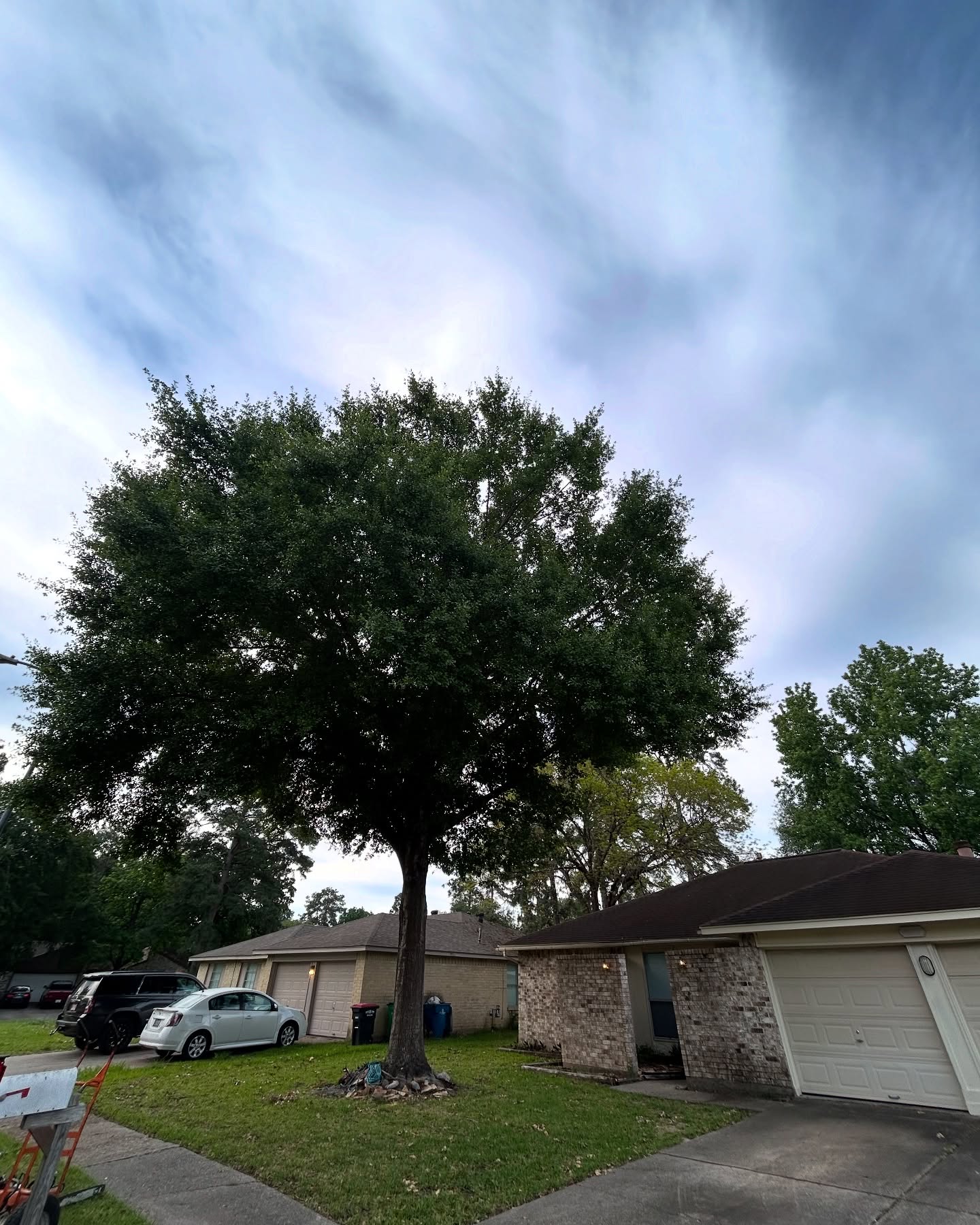 C&B Ramos Tree Service team in Houston, TX - people or person