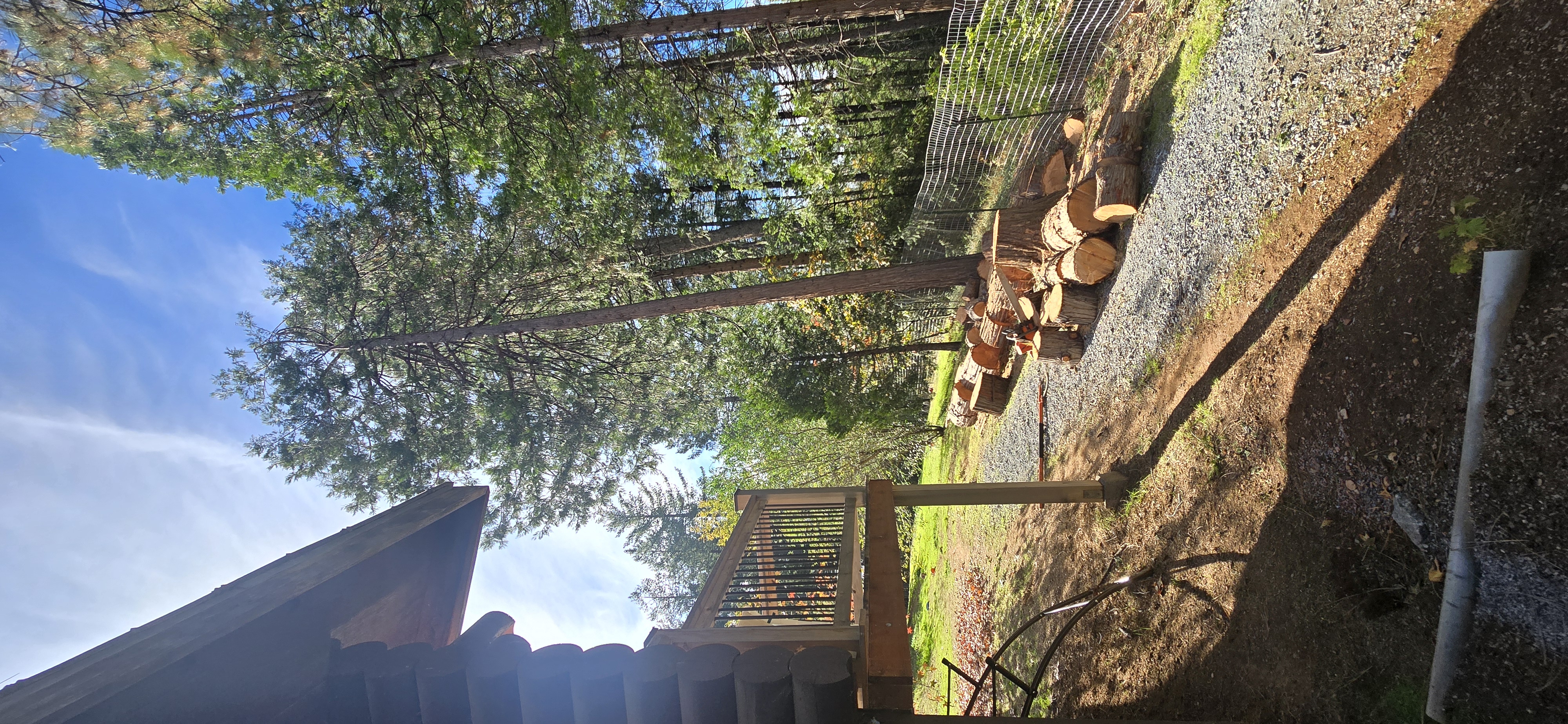  for George Staddan's Professional Tree Care in Placerville, CA