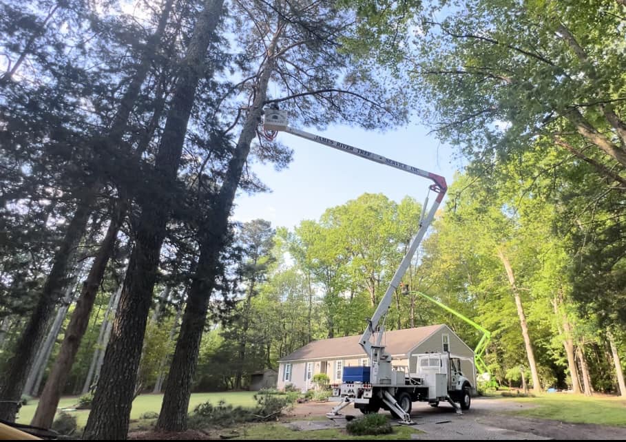  for James River Tree Service in Suffolk, VA