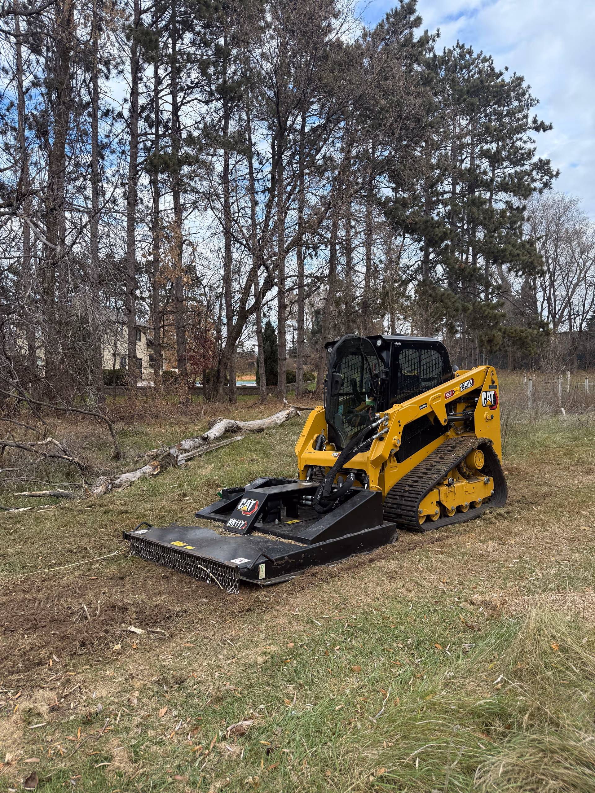 Brush Clearing Project in Rogers MN