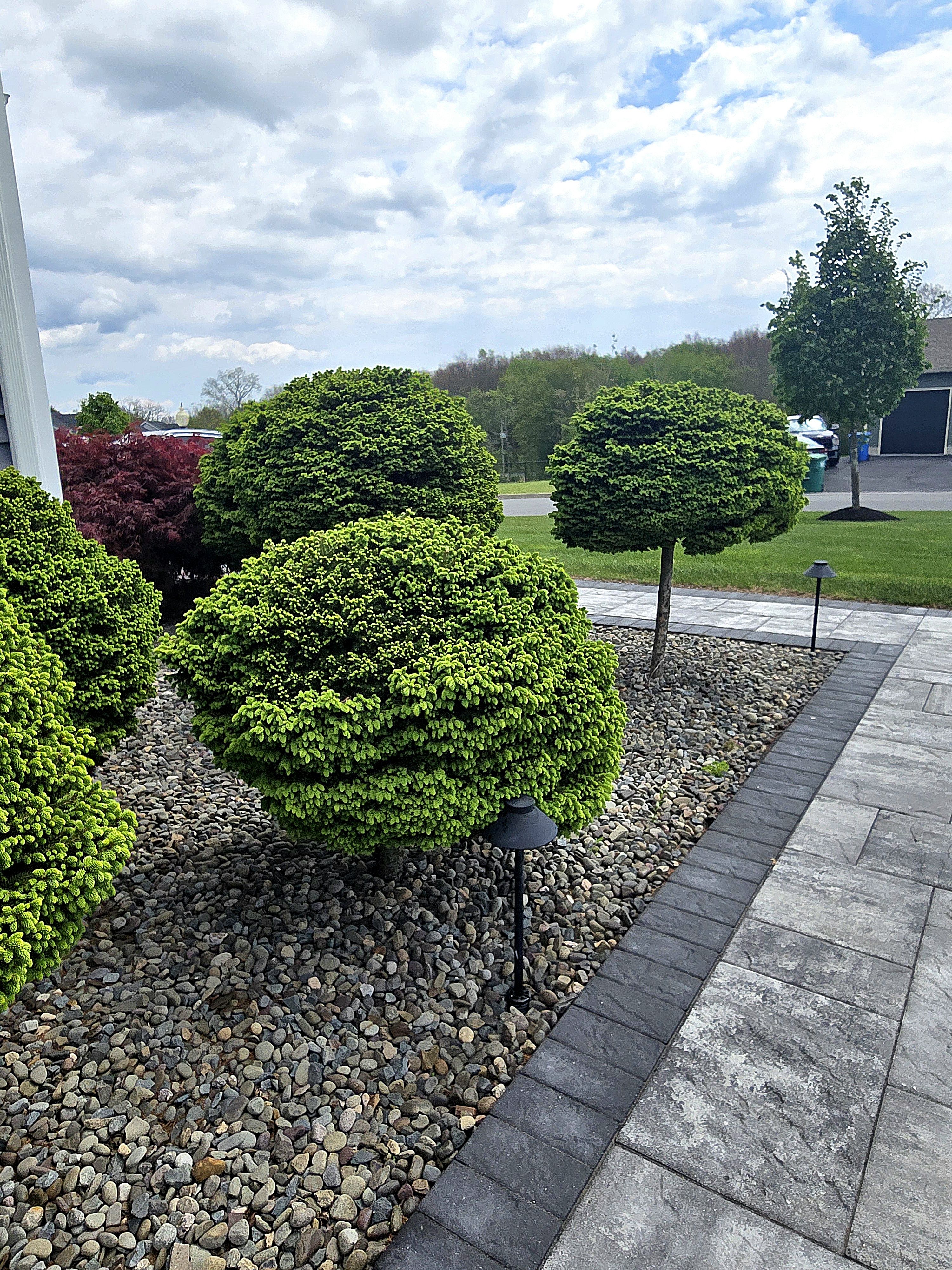 cover-photo
