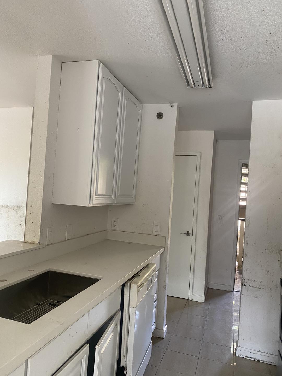  for Polo's Painting  in San Mateo, CA