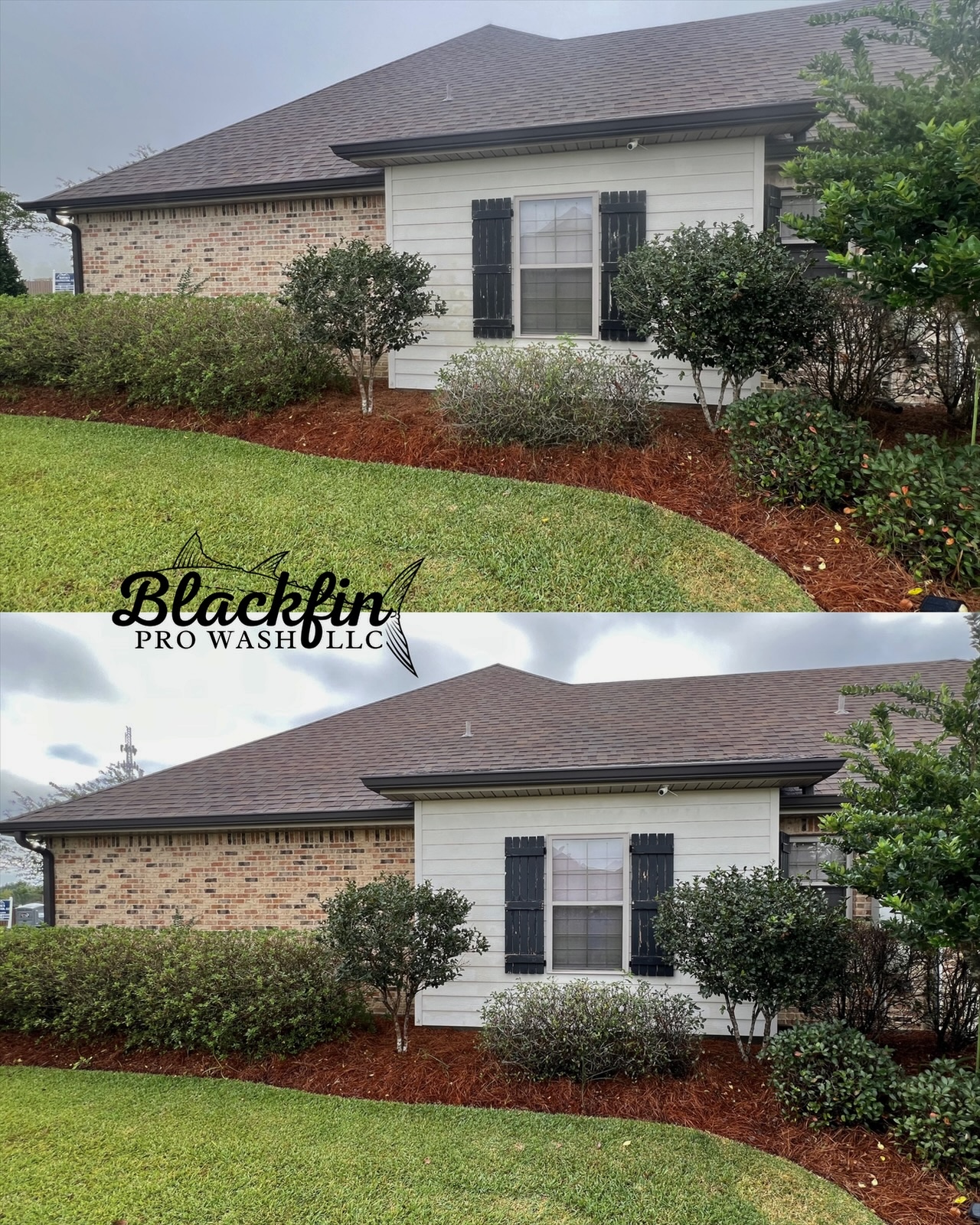  for Blackfin Pro Wash in Houma, LA