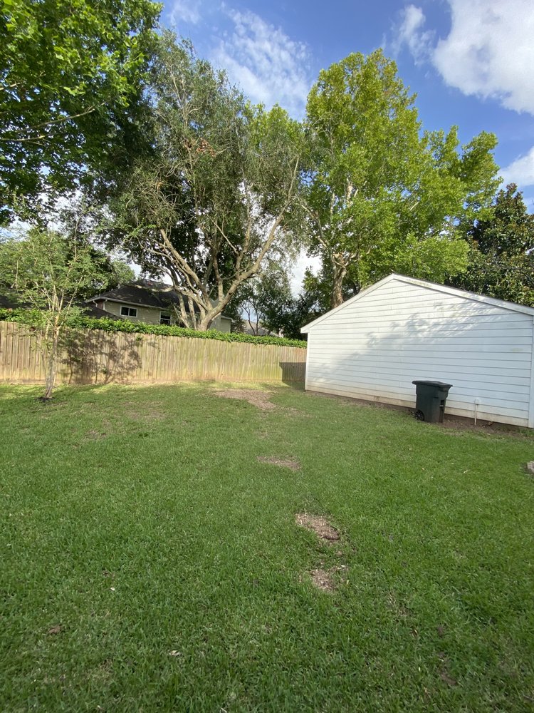  for Greenfield Tree Services in Manvel, TX