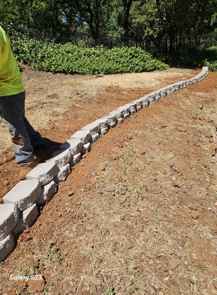  for Mejia Maintenance in Auburn, CA