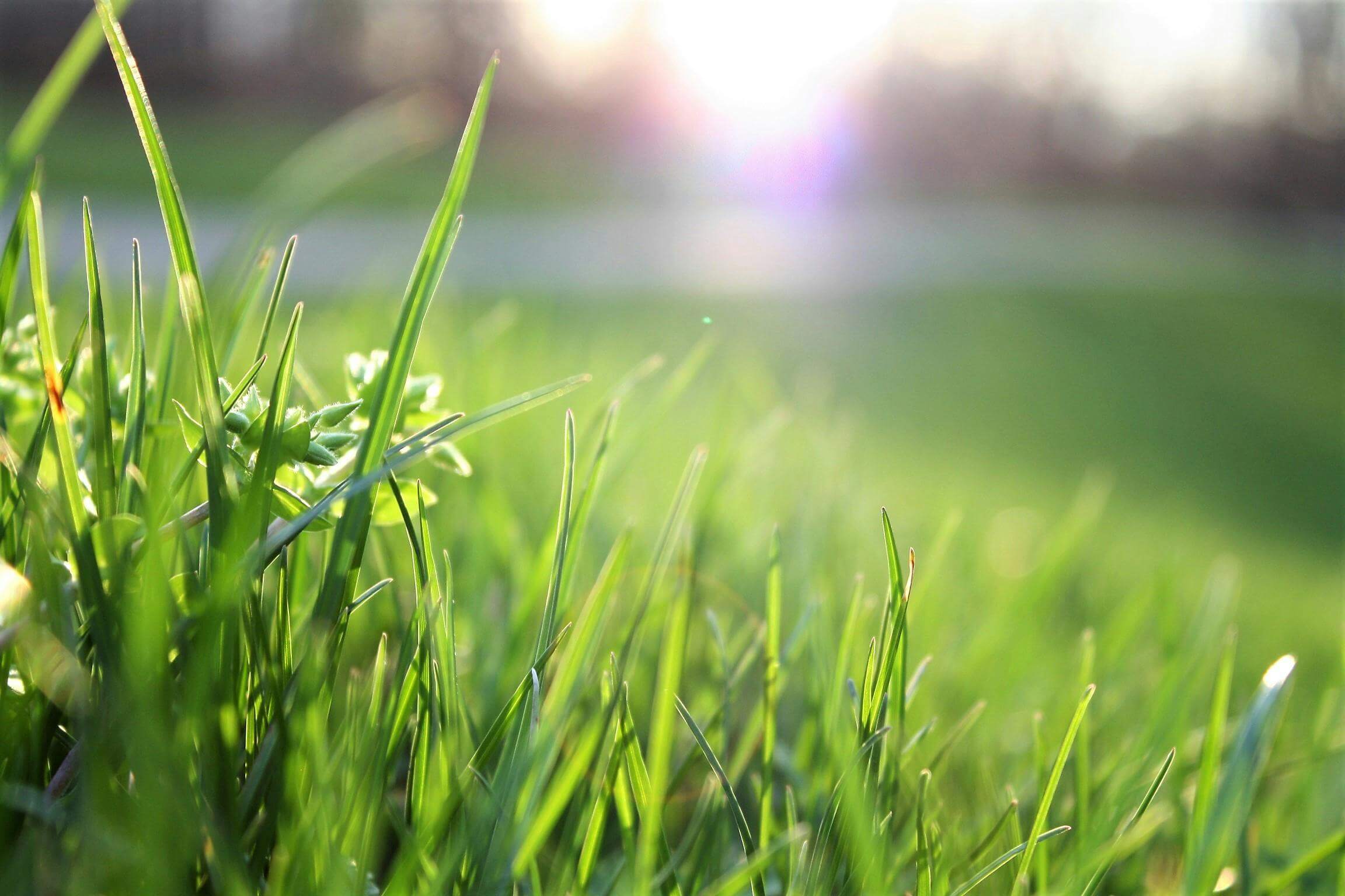 cover-photo