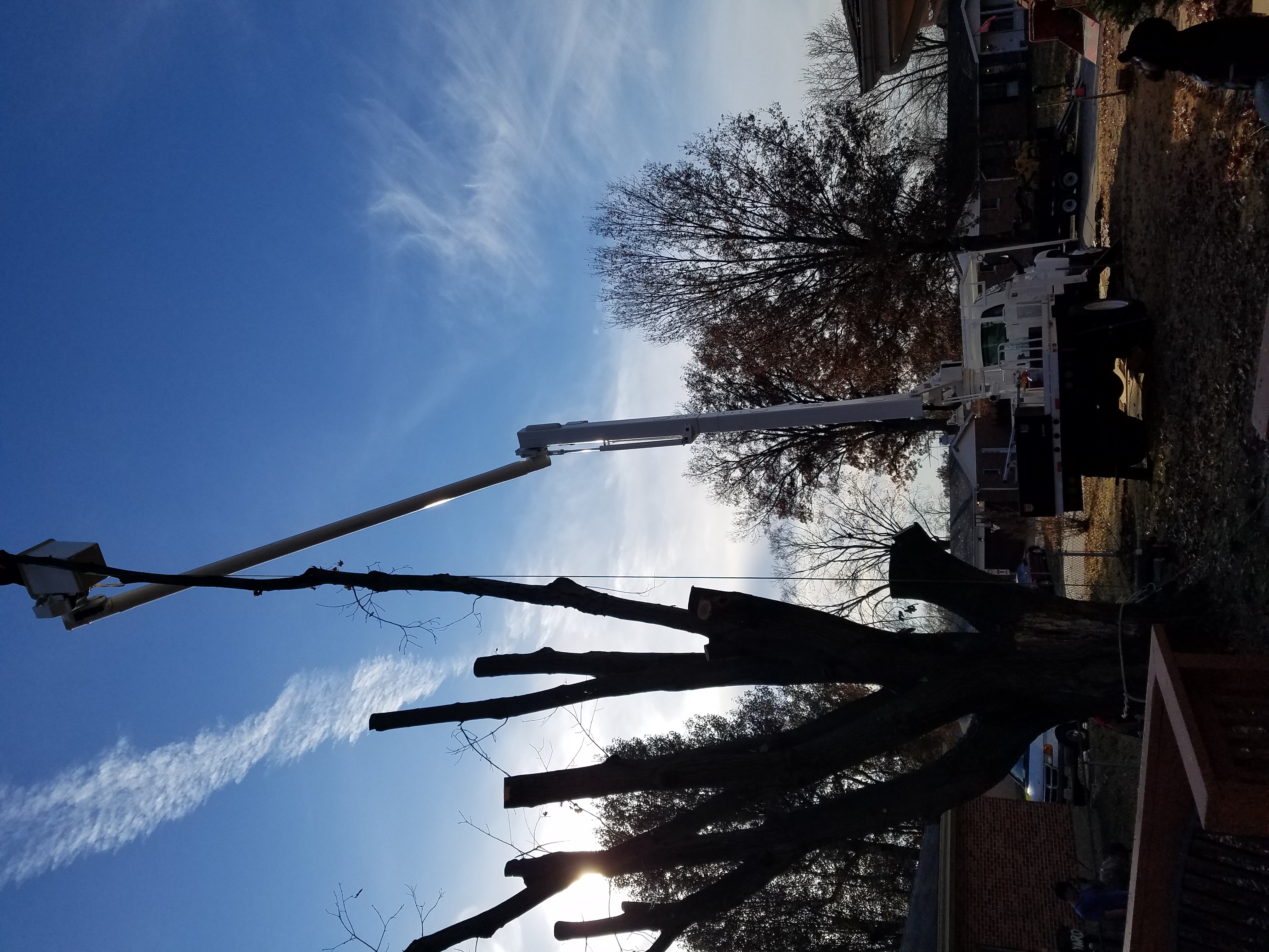 Knuckleboom crane reaching into a stripped trunk against open sky
