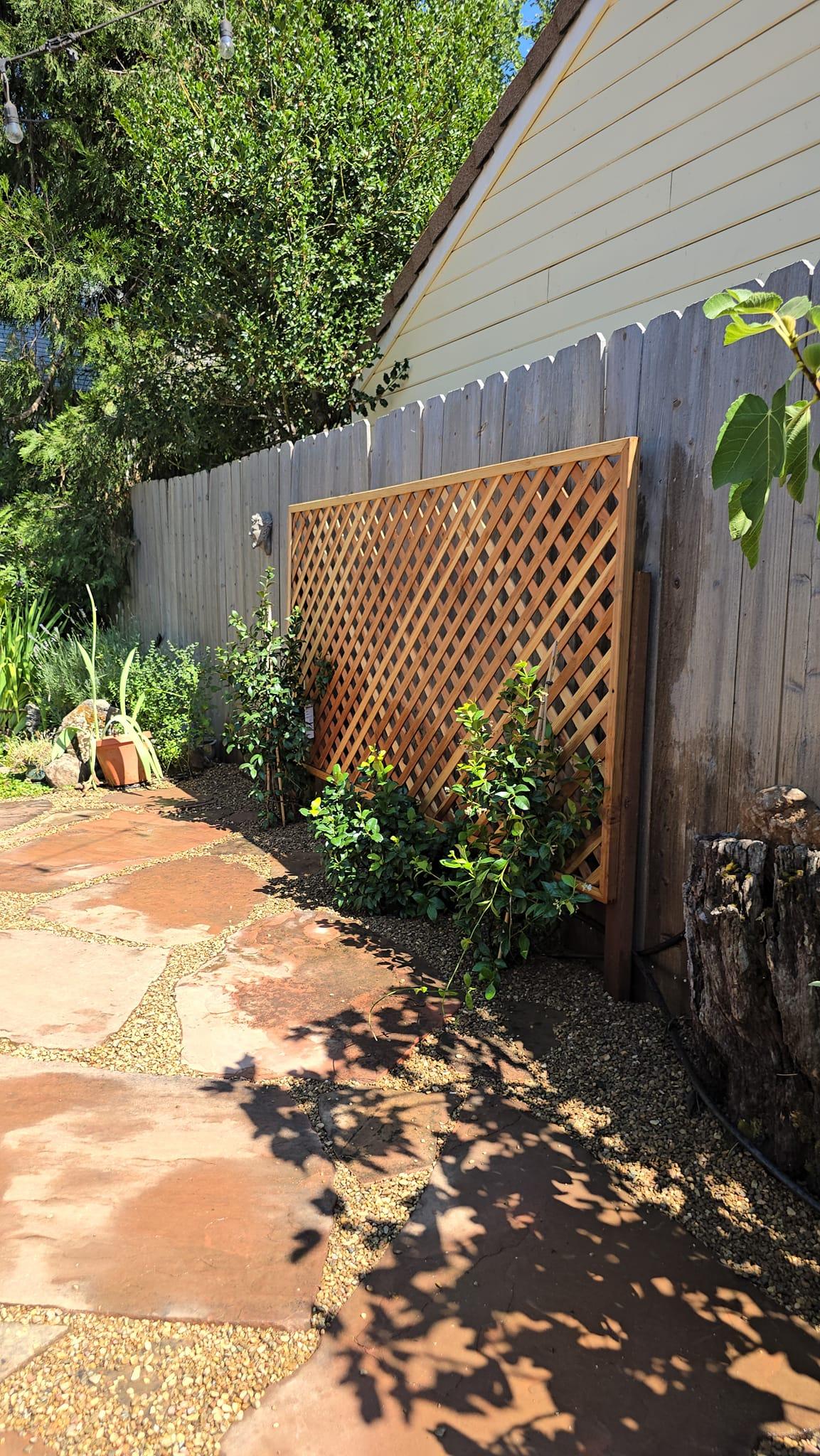 Trimmed shrubs and new plantings along a flagstone path and redwood trellis